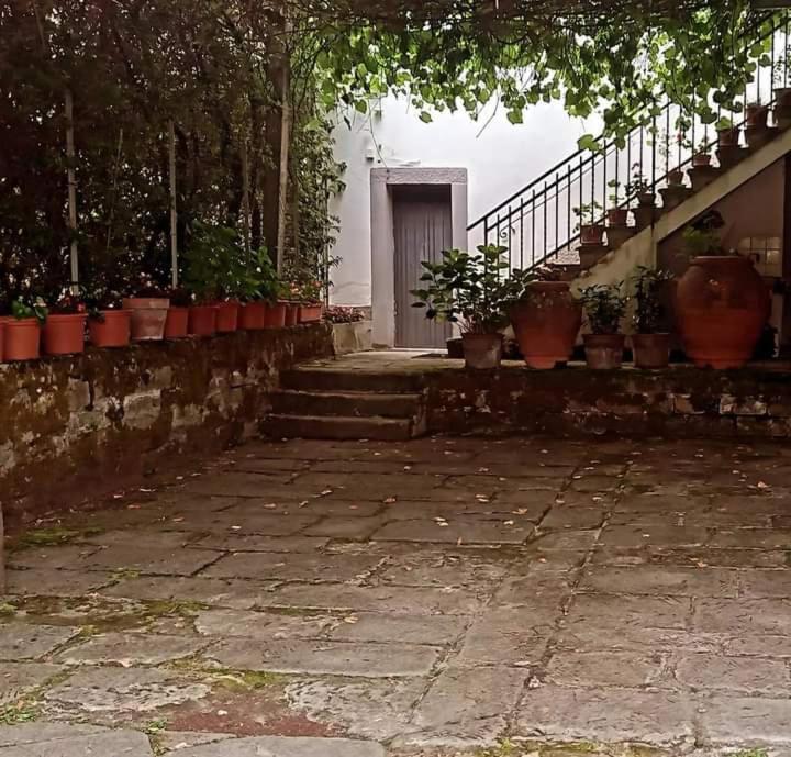 Albergo Del Ponte San Piero in Bagno Zewnętrze zdjęcie